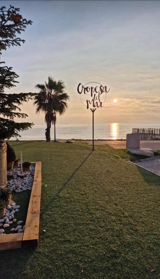 Las Terrazas - Primera Linea De Playa Con Netflix, Disney, Movistar Con Todo El Futbol, Series, Cine Y Prime Video Oropesa del Mar Exteriör bild