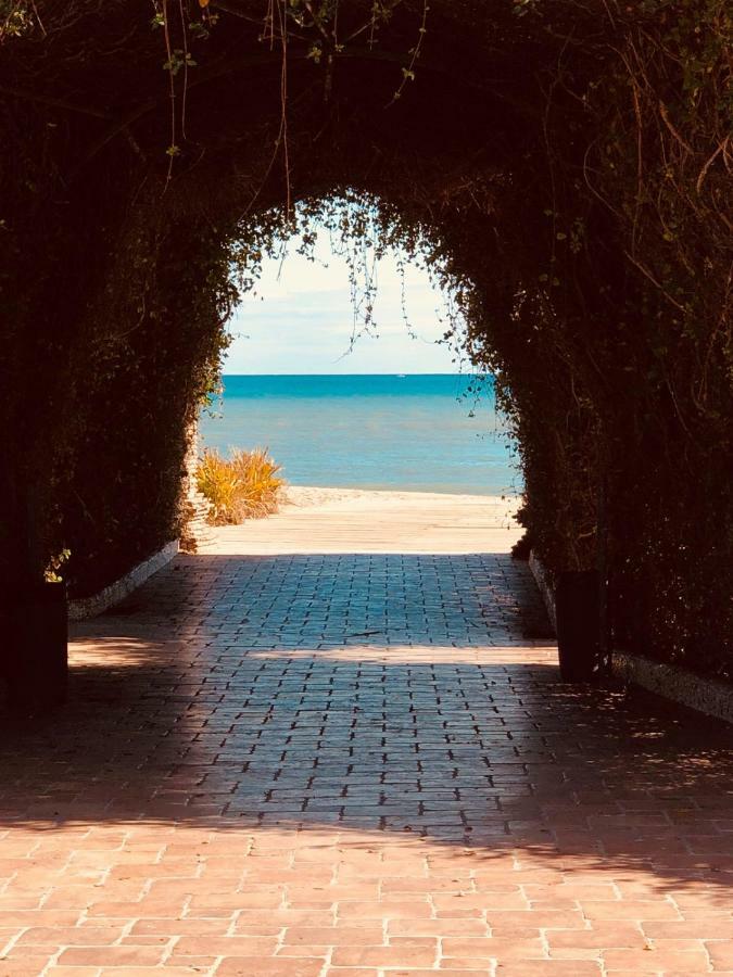 Las Terrazas - Primera Linea De Playa Con Netflix, Disney, Movistar Con Todo El Futbol, Series, Cine Y Prime Video Oropesa del Mar Exteriör bild
